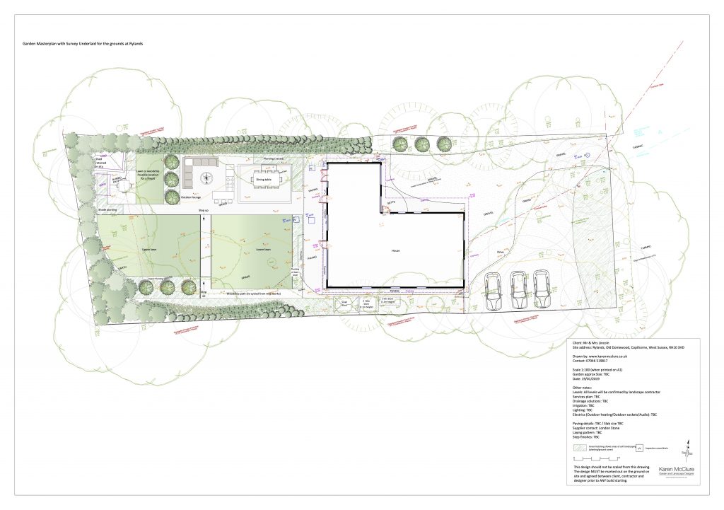 Mr & Mrs Lincoln Masterplan & Survey overlay 19.01.19 copy